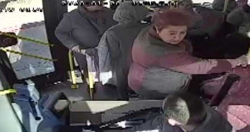 Sahibini Kaybeden Köpek Otobüse Sığındı