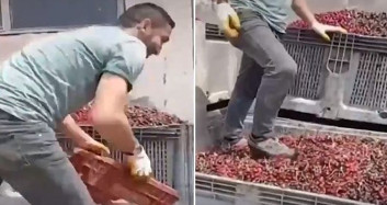 Meyve Suyu Üretim Tesisinden Mide Bulandırıcı Görüntü! Ayakkabısıyla Çiğnedi...