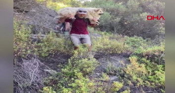 Muğla'da Bulunan Kayıp Köpeği Ekipler Sırtında Taşıdı