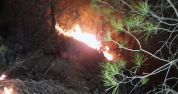 Muğla'da Çıkan Yangında 29 Hektar Zarar Gördü