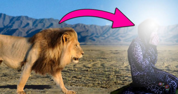 Namaz Kılan Kadının Yanına Aslan Geldi