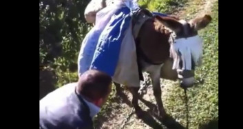 Eşek ile Eşek Olan Yurdum İnsanı