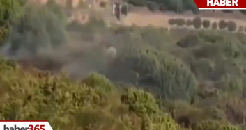 Pendik'teki Orman Kudaklama Anları Kameralara Yansıdı
