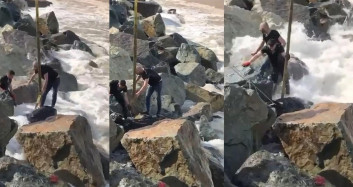 Rize'de kurbanlık pazarından kaçan boğa denize düştü! Vatandaşlar ve ekipler seferber oldu!