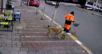 Temizlik Görevlisinin Süpürgesini Çalan Hırsız Köpek Yakalandı