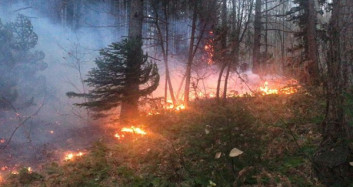 Uludağ Alevlere Teslim Oldu