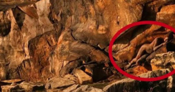Gözü Dönmüş Sapık! 11 Yaşındaki Çocuğu İstismar Etmeye Kalktı