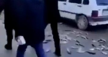 Van'da Zabıta Ekipleri Balık Tezgahını Devirdi
