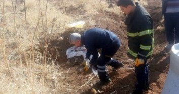 Mardin'de Yavru Köpekleri Kuyuya Attılar