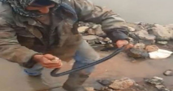 Siverekli Çoban, Taşların Arasında Sıkışan Yılanı Kurtardı