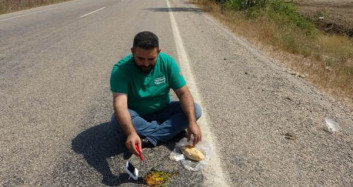 Adana'da Asfaltta Yumurta Pişirdi!