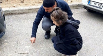 Adıyaman'da Tırtıl Sürüsünün Yolculuğu Dikkat Çekti