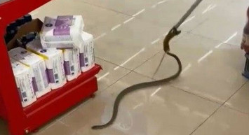 Alışverişe Gittikleri Markette Rafların Arasından Yılan Çıktı