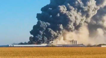 Almanya'da Hayvan Çiftliğinde Yangın Çıktı