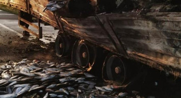 Balıklar Yola Saçıldı! Samsun'da Balık Yüklü Tır Alev Alev Yandı