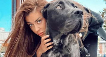 Banu Parlak'ın tasmasız köpeği yavru bir köpeği parçaladı! Görüntüler ifşa olunca kapısına dayanıp tehdit...