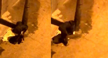 Bursa'da akılalmaz hırsızlık! Çöp kovalarını demir makasla keserek çalmaya kalkıştı