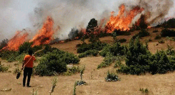 Ciğerimiz Yanıyor! Havadan ve Karadan Müdahale Ediliyor