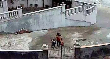 Çin'de Büyükanne ve Torunu Yıkılan Ağaçtan Son Anda Kurtuldu