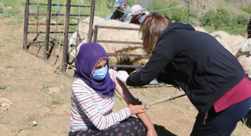 Dağ Bayır Demediler Hizmete Devam Ettiler!  Aşı Timleri Tunceli'nin Yaylalarına Çıktı