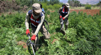 Diyarbakır'da Narko Teröre Geçit Yok! Dev Operasyon Yapıldı