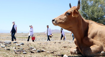 Erzurum'da Aşı Timleri,  Çobanlara Aşı Yapmak İçin Zorlu Yolları Aştı