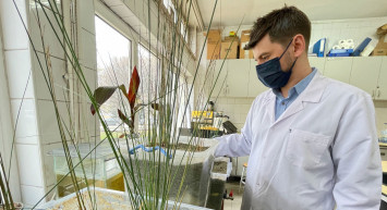 Eskişehir'de Arıtılan Atık Sudan Sera İçin Elektrik Üreten Bir Sistem Geliştirildi!