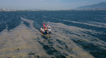 İzmit Körfezi’ndeki Deniz Salyası Temizleniyor