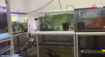 Japonya'da 7.2'lik Deprem Anı Kamerada