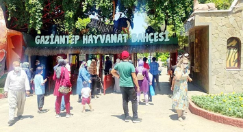 Kafesten Kaçan Aslan İnsanlara Saldırdı