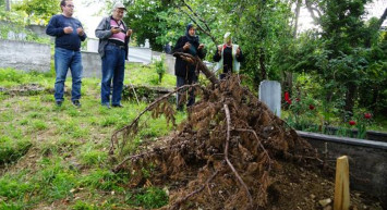 Kastamonu’da Ceset Yiyen Ayı Köylülerin Kabusu Oldu!