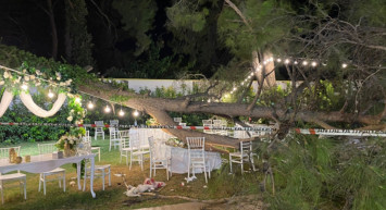 Kır Düğününde Korku Dolu Anlar Ağaç Devrildi;1 Ölü 9 Yaralı