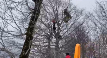 Kocaeli'nde Yamaç Paraşütü Yaparken Ağaçta Asılı Kaldı