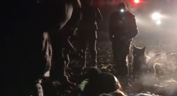 Litvanya’da İnsanlık Dramı: Göçmenlerin Üzerine Köpek Saldılar