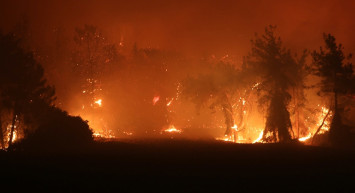 Manavgat'ta Çıkan Yangında Bir Çiftçi Yaşadığı Zorlukları Anlattı