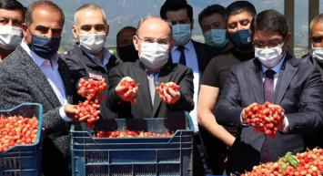 Manisa'da Sezonun İlk Kirazı 500 TL'den Satıldı