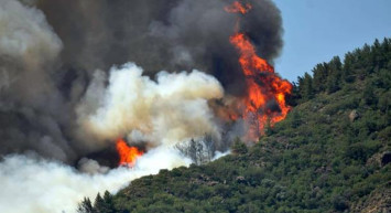 Marmaris'te Orman Yangını! Vatandaşlar Korkuyla İzledi