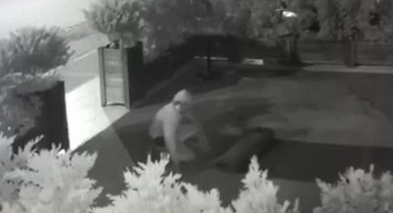 Mersin'de Halı Hırsızı Kamerada