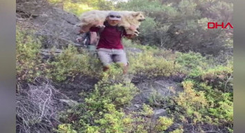 Muğla'da Bulunan Kayıp Köpeği Ekipler Sırtında Taşıdı