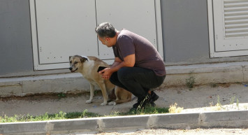 Paylaşım Rekorları Kıran Videonun Ardından Hayvansever Özay Kaya Açıklamalarda Bulundu