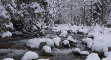 Rize'de Kar Yağışı Etkili Oldu
