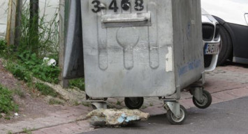 Rüzgarın Etkisiyle Yokuş Aşağı Hareket Eden Çöp Kutusu Ortalığı Birbirine Kattı