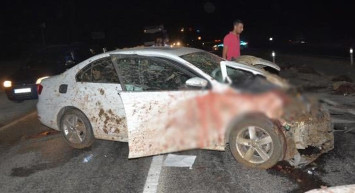 Şanlıurfa'da korkunç kaza! 19 koyun, 1 eşek telef oldu!