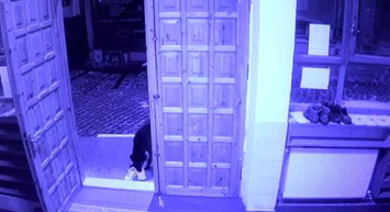 Sivas’ta Cemaatin Ayakkabısını Çalan Sevimli Hırsız Kameralara Yakalandı