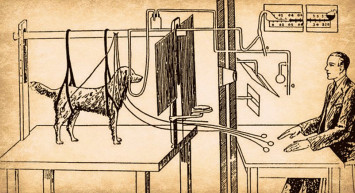 Tarihteki En Garip Psikolojik Deneyler