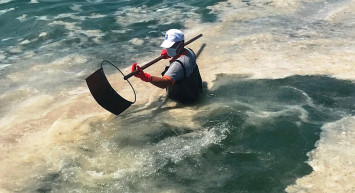 Tarımı Bitirdi Diyenlere Cevap Ceylanpınar'dan Geldi! 157 Biçerdöver ile Aynı Tarlada Hasatta Başladı