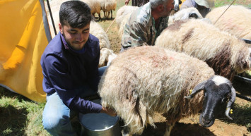 Tunceli’deki Çobanın Robert Kolejine Uzanan Başarı Öyküsü