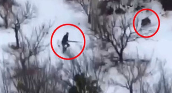 Yaban Domuzlarının Saldırısından Son Anda Kurtuldu