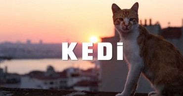 İşte Yılın En İyi Bağımsız Türk Filmi