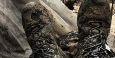 Türkiye'nin Konuştuğu O Karenin Hikayesini Canlı Yayında Anlattı .